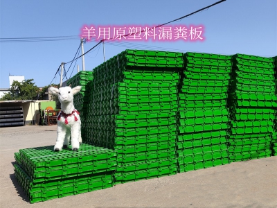大型羊場(chǎng)選用塑料漏糞板作為羊床的優(yōu)勢(shì)探討